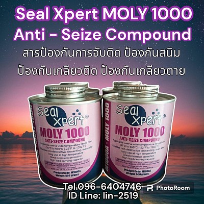 Seal Xpert Moly 1000 Anti-Seize Compound สารทาเกลียวป้องกันการจับติดเอนกประสงค์ ทาเกลียวกันสนิม ป้องกันเกลียวติด